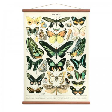 Affiche papillons vintage